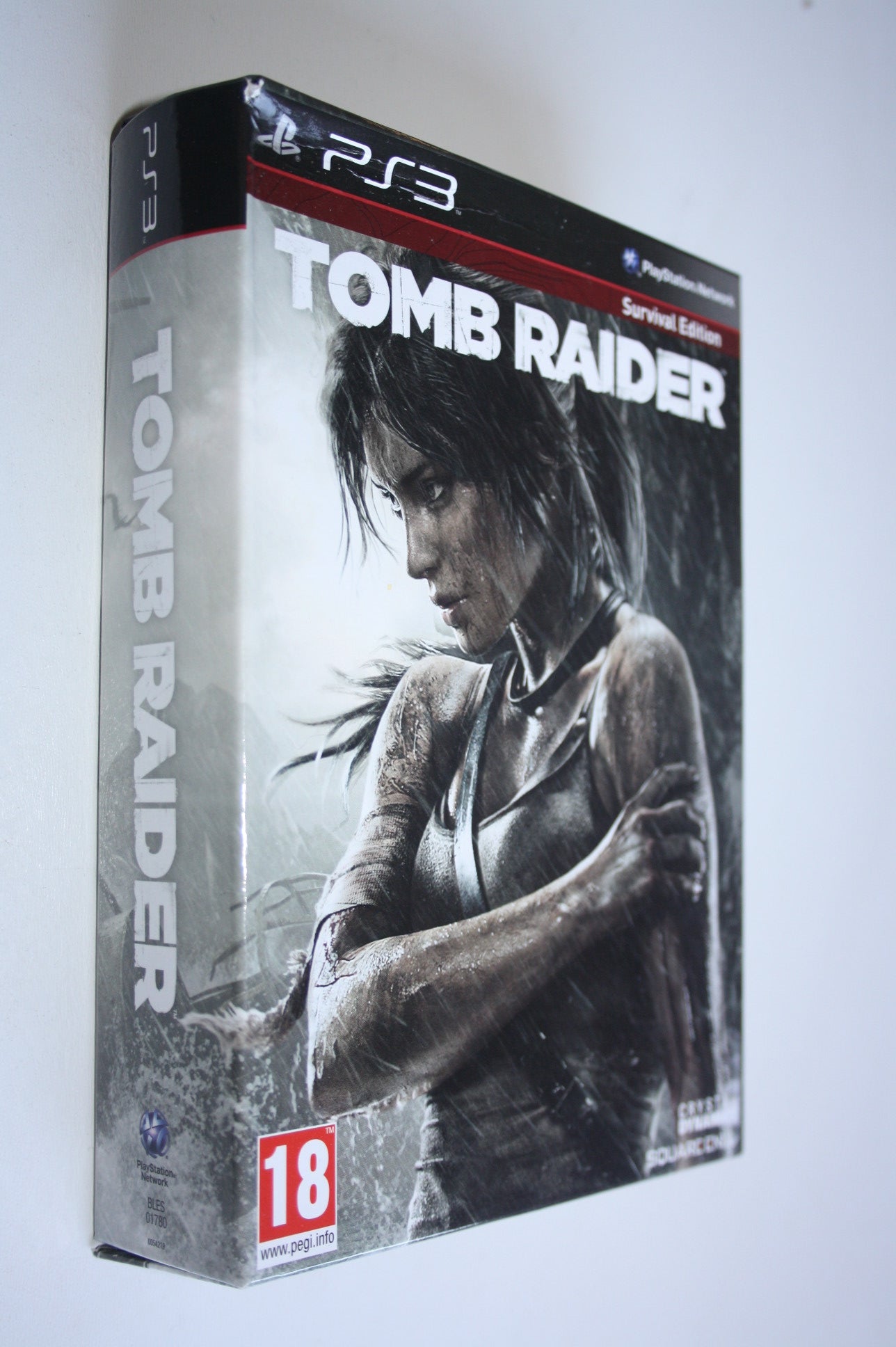 Tomb Raider Survival Edition