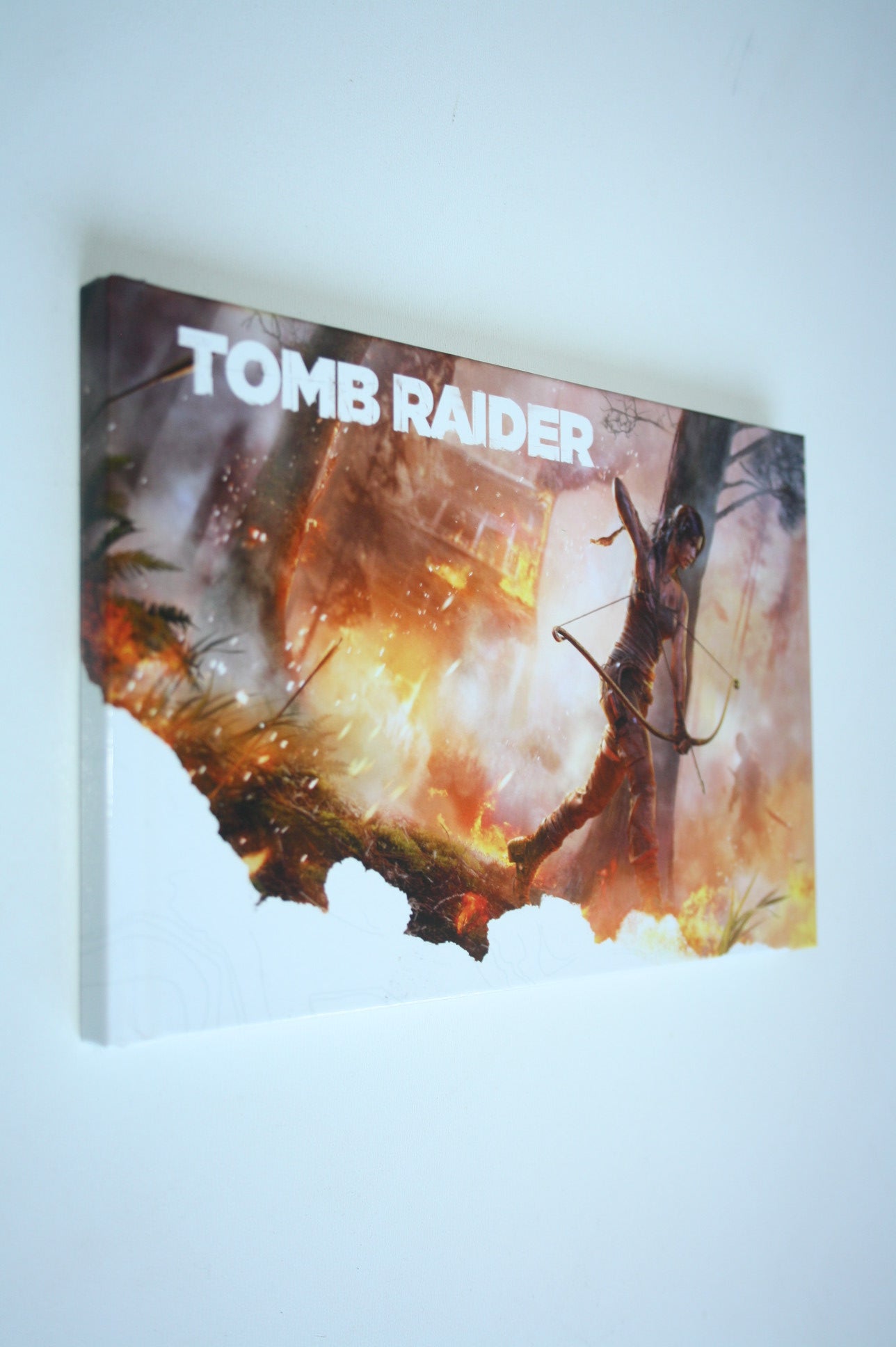 Tomb Raider Survival Edition