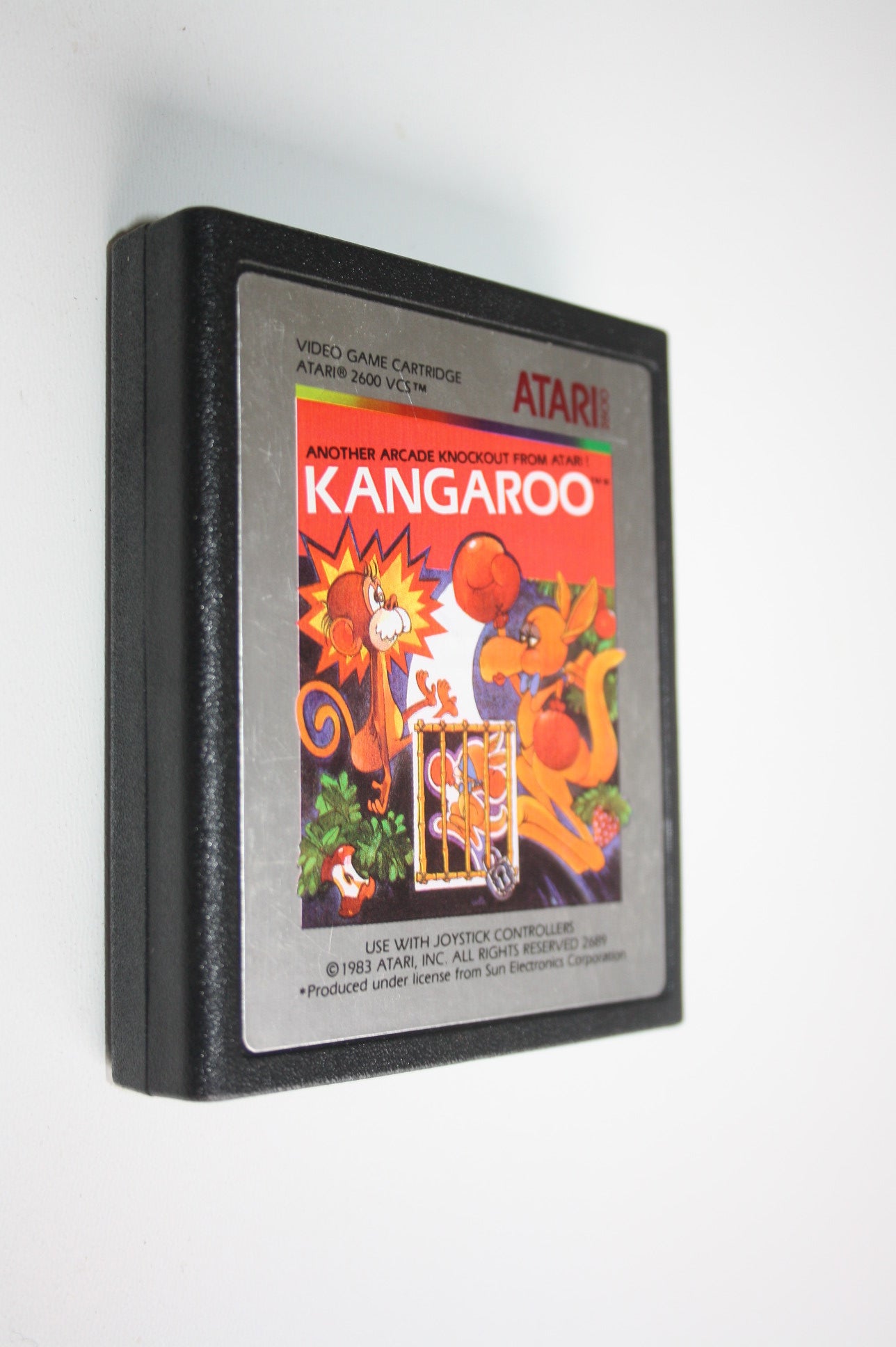 Kangaroo